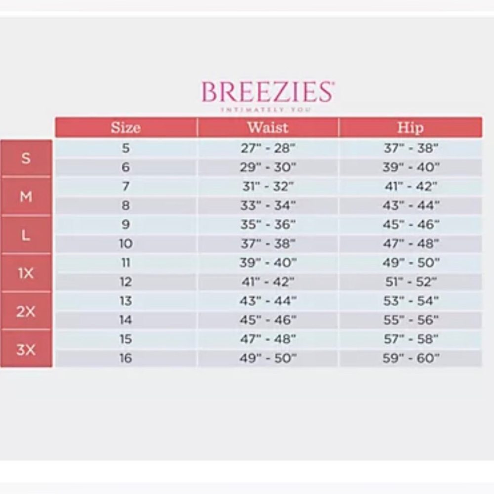 NWT Women’s M Breezie Pack of 4 Smooth Hi-cut Briefs in Pink, Nude, Blk, Burg. - Picture 3 of 3